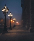 Foto Precedente: Vienna by night