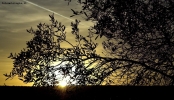 Foto Precedente: ...imprigionando un tramonto