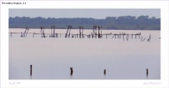 Foto Precedente: Oasi naturale Lipu di Massaciuccoli