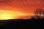 Prossima Foto: orange sky