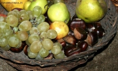 Foto Precedente: frutta dei poveri