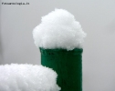 Prossima Foto: NEVE SUL VERDE