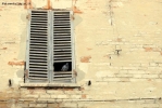 Prossima Foto: la sua casa..