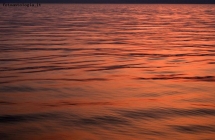 Prossima Foto: Rosso del Garda