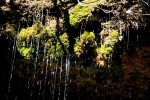Foto Precedente: Le vie dell'acqua 1/5-sorgente perenne