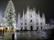 Foto Precedente: Milano  