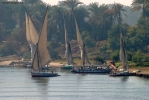 Foto Precedente: feluche sul Nilo