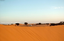 Foto Precedente: deserto dell'adrar, villaggio di pastori nomadi