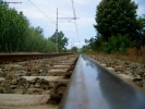 Prossima Foto: verso acqui