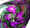 Prossima Foto: turbina di fiori