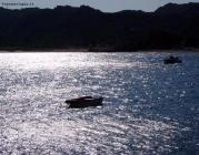 Prossima Foto: Controluce sul mare a colori