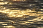 Foto Precedente: Scintille di mare