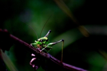 Prossima Foto: horror
