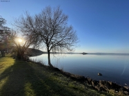 Prossima Foto: Relax al lago 