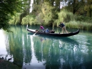 Foto Precedente: Ospite di un fiume