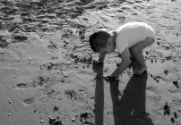 Prossima Foto: Tesori tra la sabbia