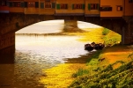 Prossima Foto: Emozioni Nuove a Pontevecchio...