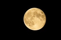 Foto Precedente: Luna piena