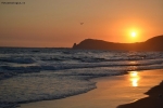Prossima Foto: Onde, ali, sole