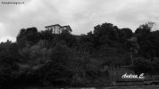 Prossima Foto: s.t.