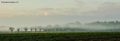 Prossima Foto: Un po' di nebbia