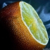 Prossima Foto: il mezzo limone dimenticato....