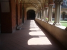 Prossima Foto: Path Of Peace