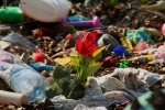 Prossima Foto: Futuro di plastica