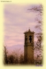 Prossima Foto: Campanile....