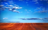 Prossima Foto: Spazio incontaminato......