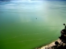 Prossima Foto: I colori del lago 1