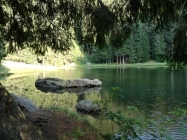 Prossima Foto: lago dei Caprioli 
