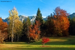 Prossima Foto: Autunno in Val di Sella