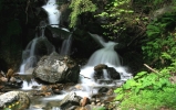 Foto Precedente: le vie dell'acqua 1/2 - la neve al disgelo