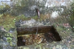 Prossima Foto: acqua e muschio