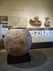Prossima Foto: Museo Etrusco di Populonia