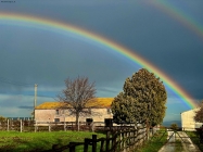 Prossima Foto: E rispunta il sole