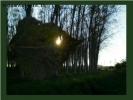 Foto Precedente: attraverso una foglia... il sole
