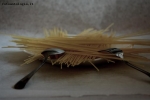 Prossima Foto: L'importanza della cultura