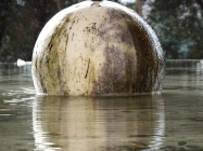 Prossima Foto: punti di vista