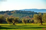 Prossima Foto: Magliano..