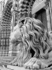 Prossima Foto: Duomo di San Lorenzo - Genova  - secondo Manfredi