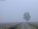 Prossima Foto: nebbia d'autunno