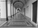 la citt che vorrei