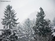 Prossima Foto: .......... ancora un po' di neve!!!