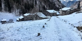 Prossima Foto: Pagliari