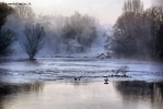 Foto Precedente: Inverno sul fiume Adda
