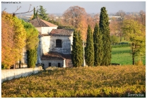 Foto Precedente: Autunno