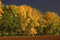 Prossima Foto: ... poco prima del temporale