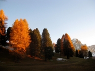 Prossima Foto: I colori dell'autunno